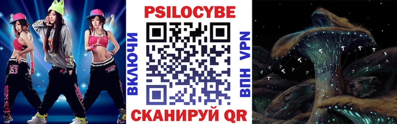 где найти   Полярный  Галлюциногенные грибы прущие грибы 