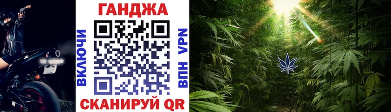 Конопля план  Полярный 